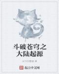 斗破苍穹之源神大陆