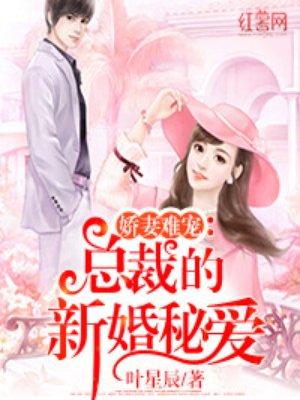 总裁的新婚秘爱全文免费安全版