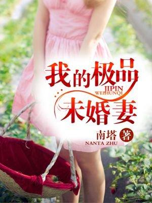 我的极品婚姻免费阅读