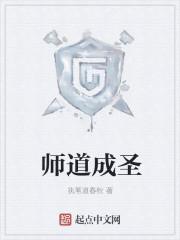 师道成语