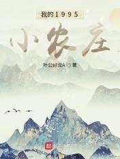 我的1995小农庄免费阅读