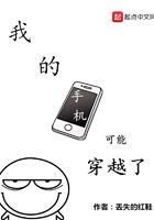 我的手机可能穿越了TXT