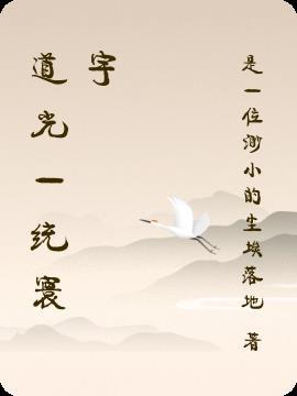 道光什么