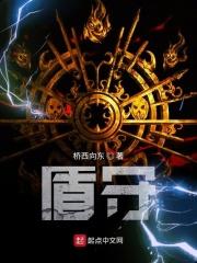 星法圣盾阵容
