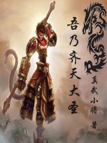 齐天大圣我若成佛天下无魔