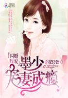 闪婚厚爱墨少宠妻成瘾未删减