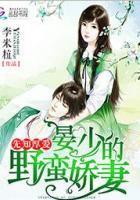 晏少私宠小妻免费完整阅读